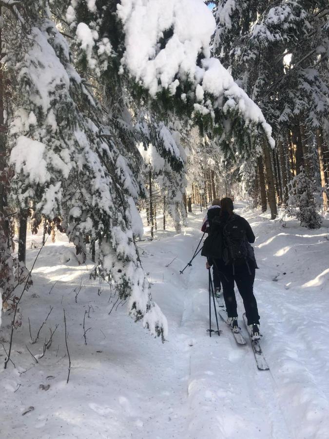 Ferienwohnung Elfi Tröpolach Eksteriør billede